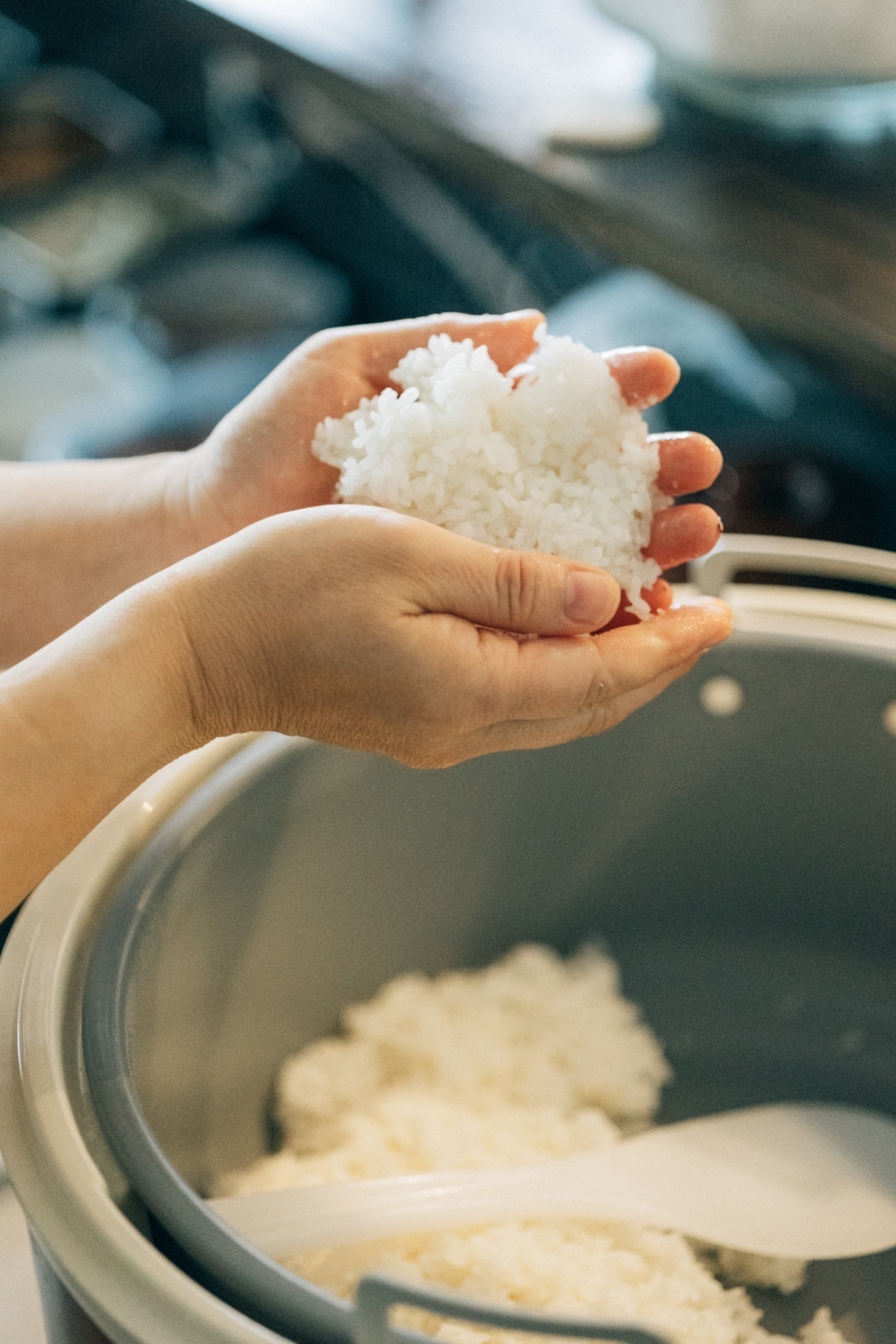 ごちそうおむすび　恵みのまんま