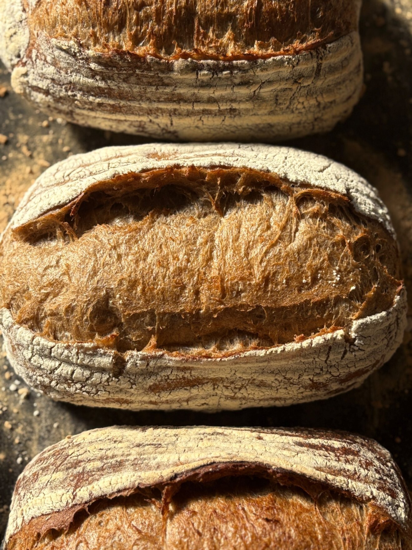 パン工房クルール （福岡県 朝倉市）