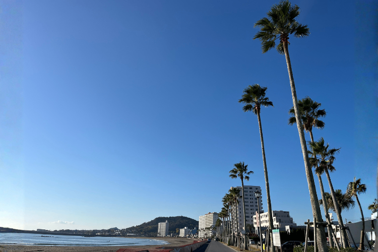 POPS CAFE（ポップスカフェ）