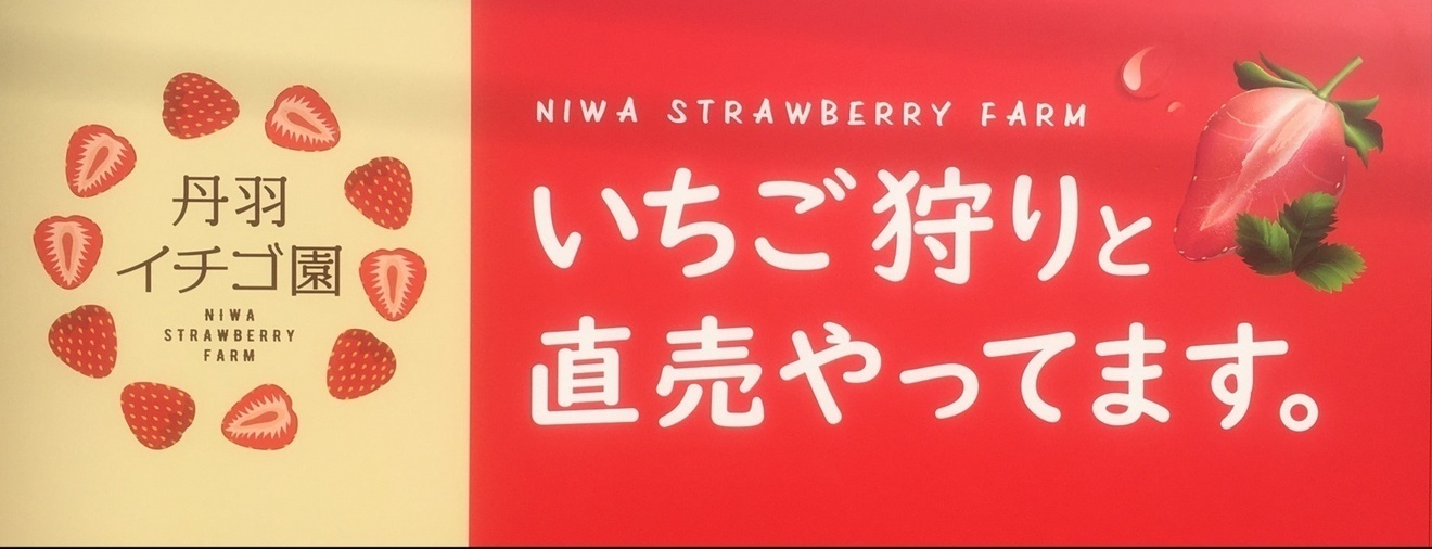 いちご狩り　丹羽（ニワ）いちご園