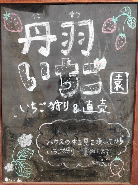 いちご狩り　丹羽（ニワ）いちご園