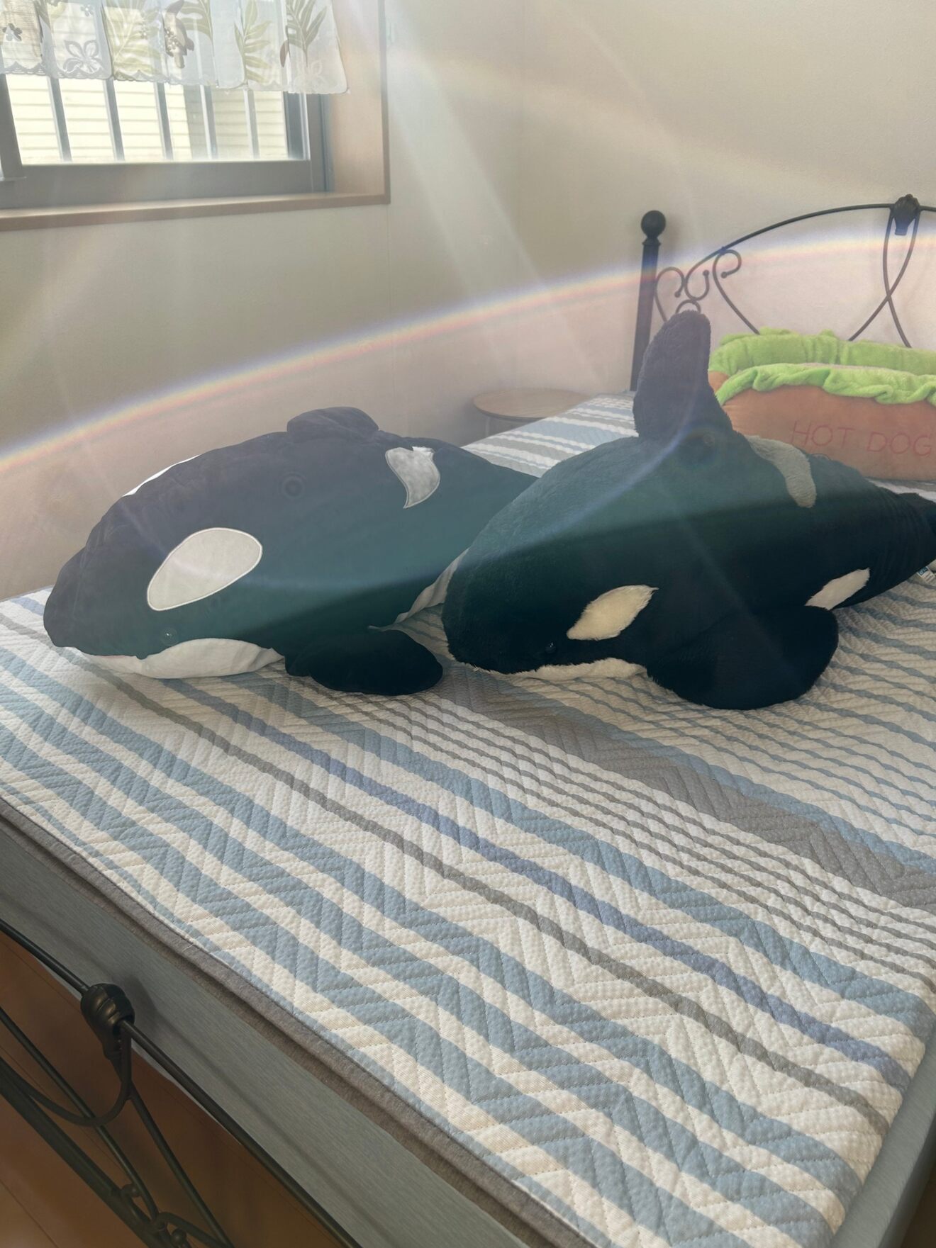 民泊　JJJ  宿泊施設