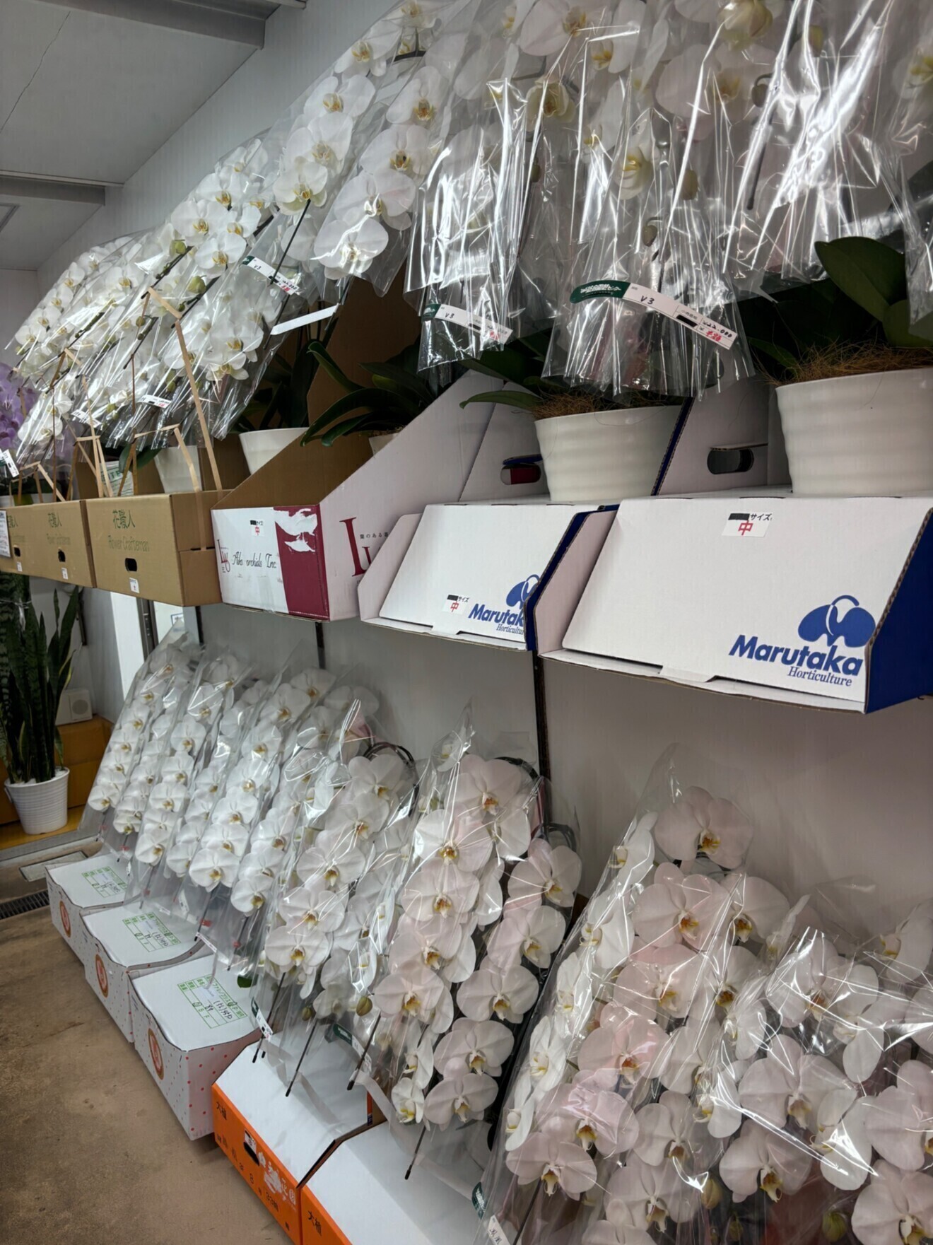 姫路総合園芸センター