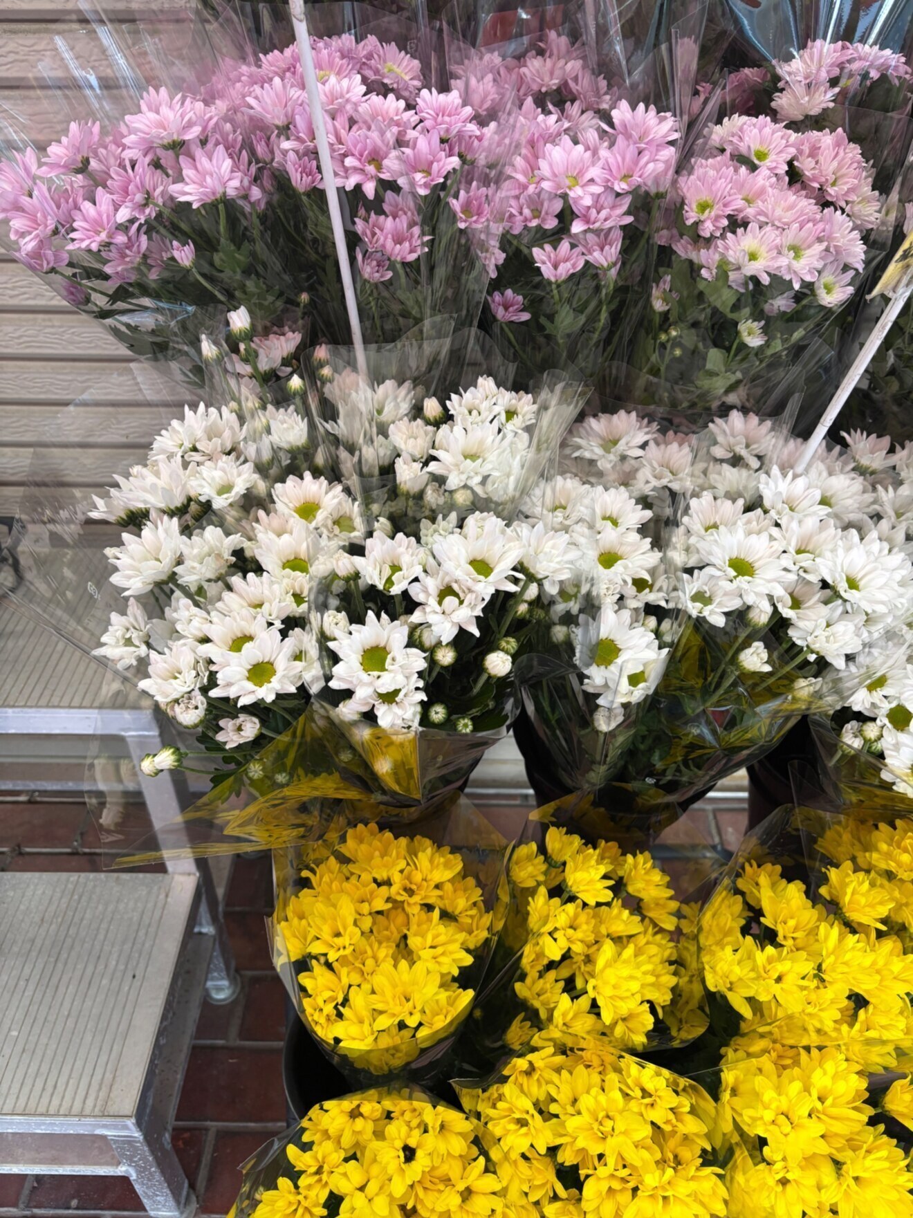 姫路総合園芸センター