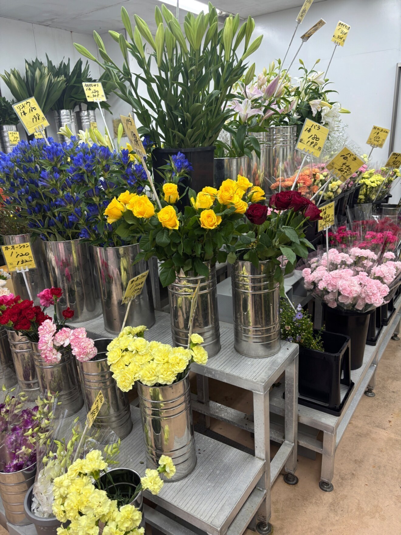 姫路総合園芸センター