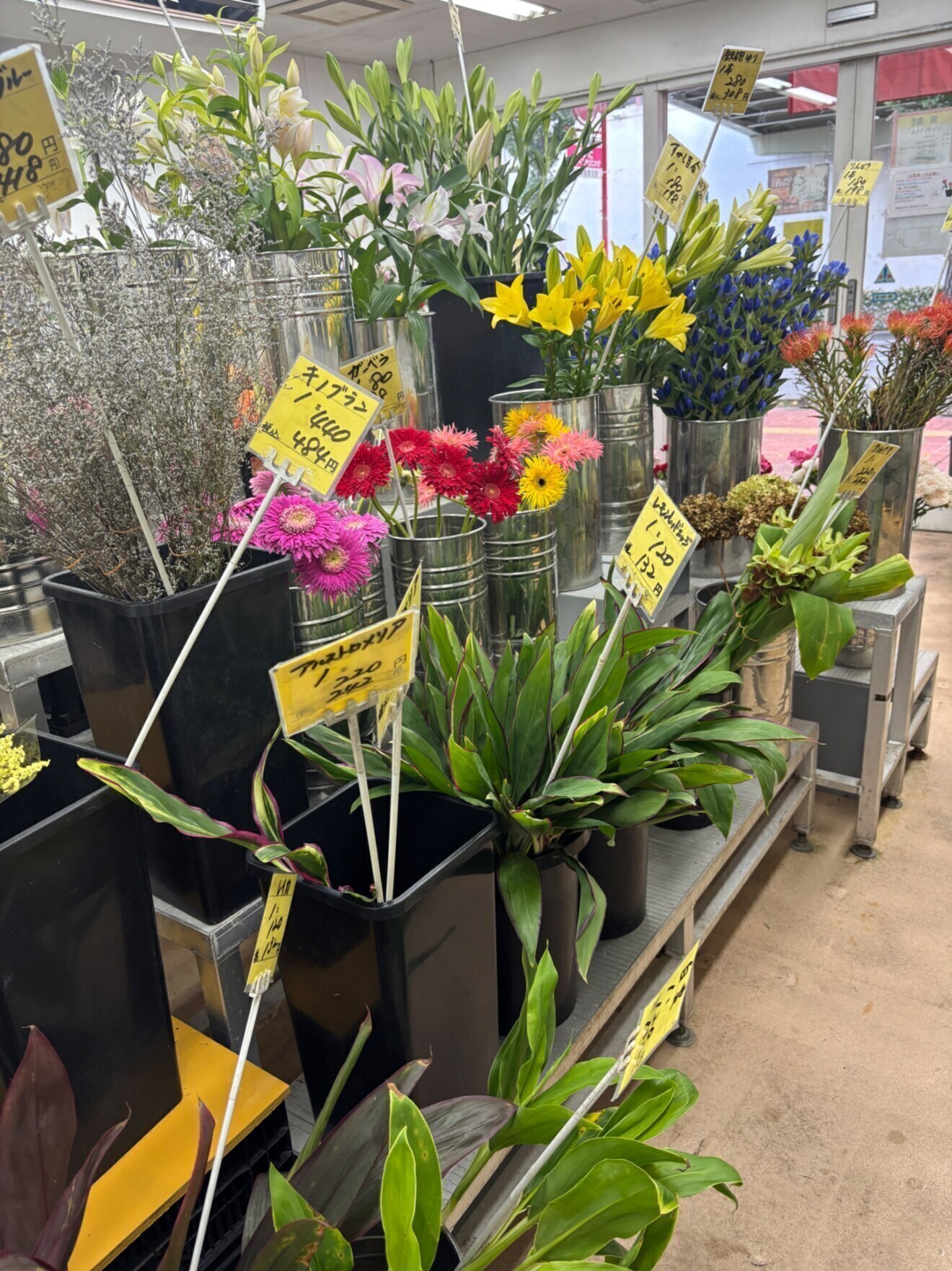 姫路総合園芸センター