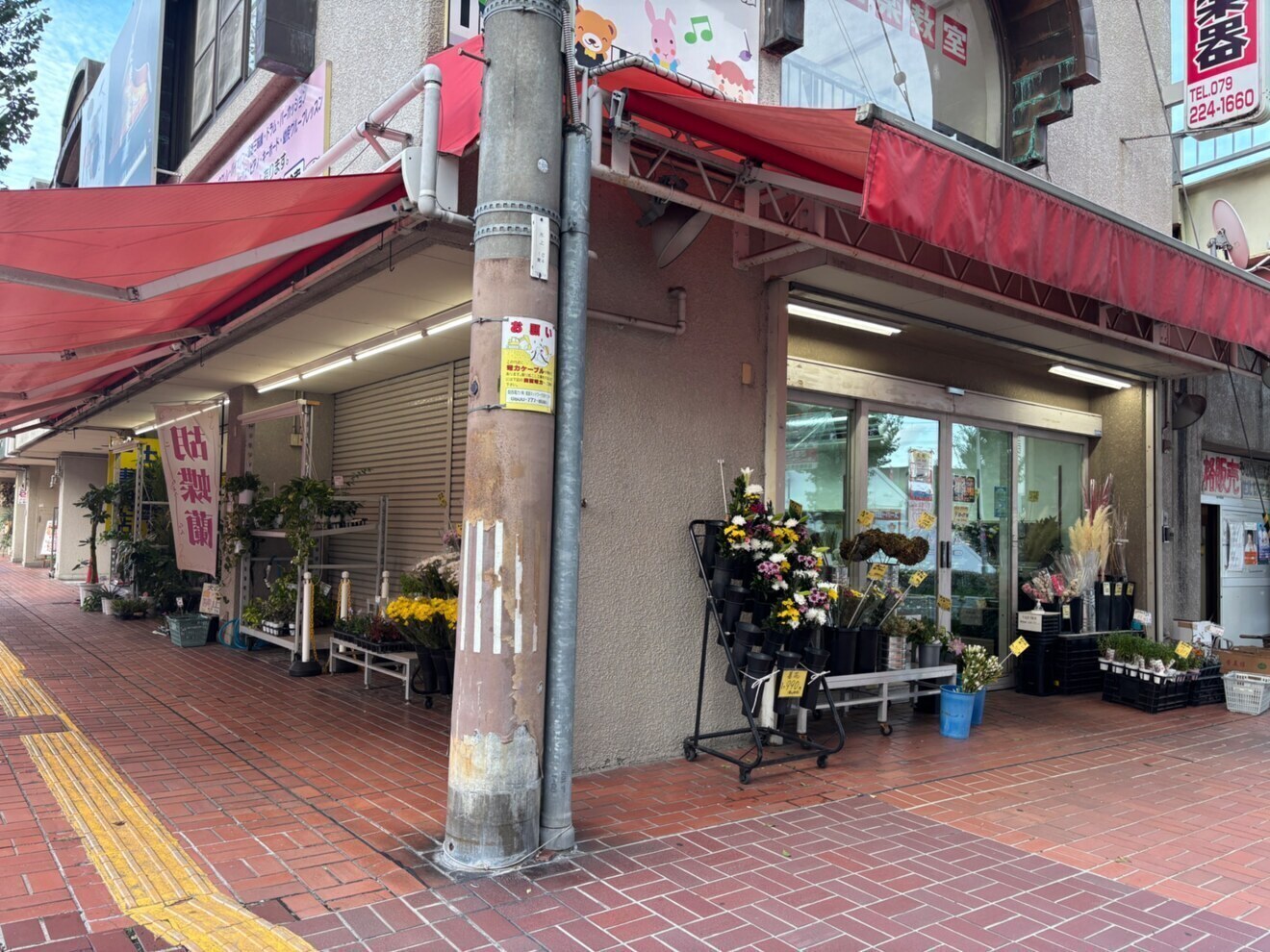 姫路総合園芸センター