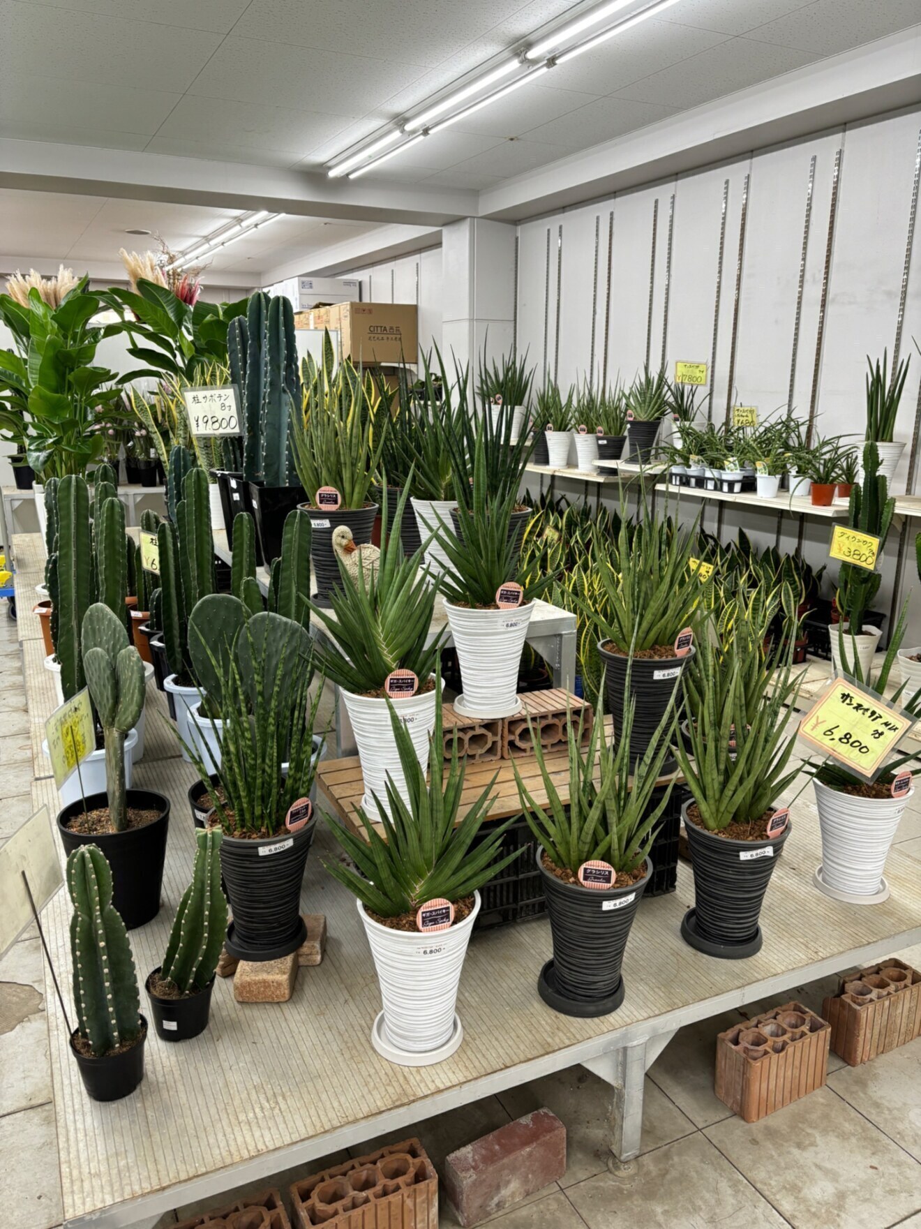 大阪総合園芸センター