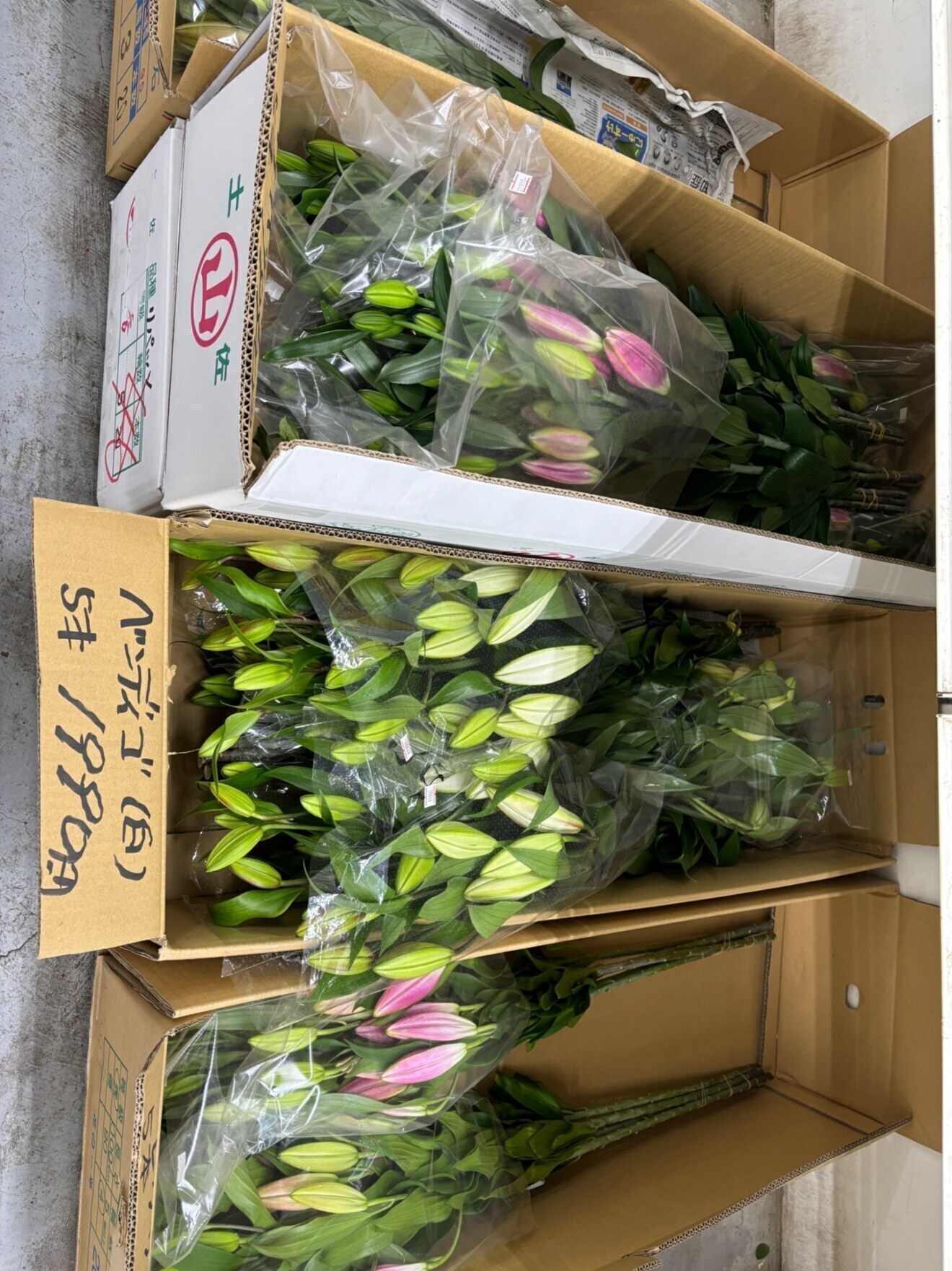 大阪総合園芸センター