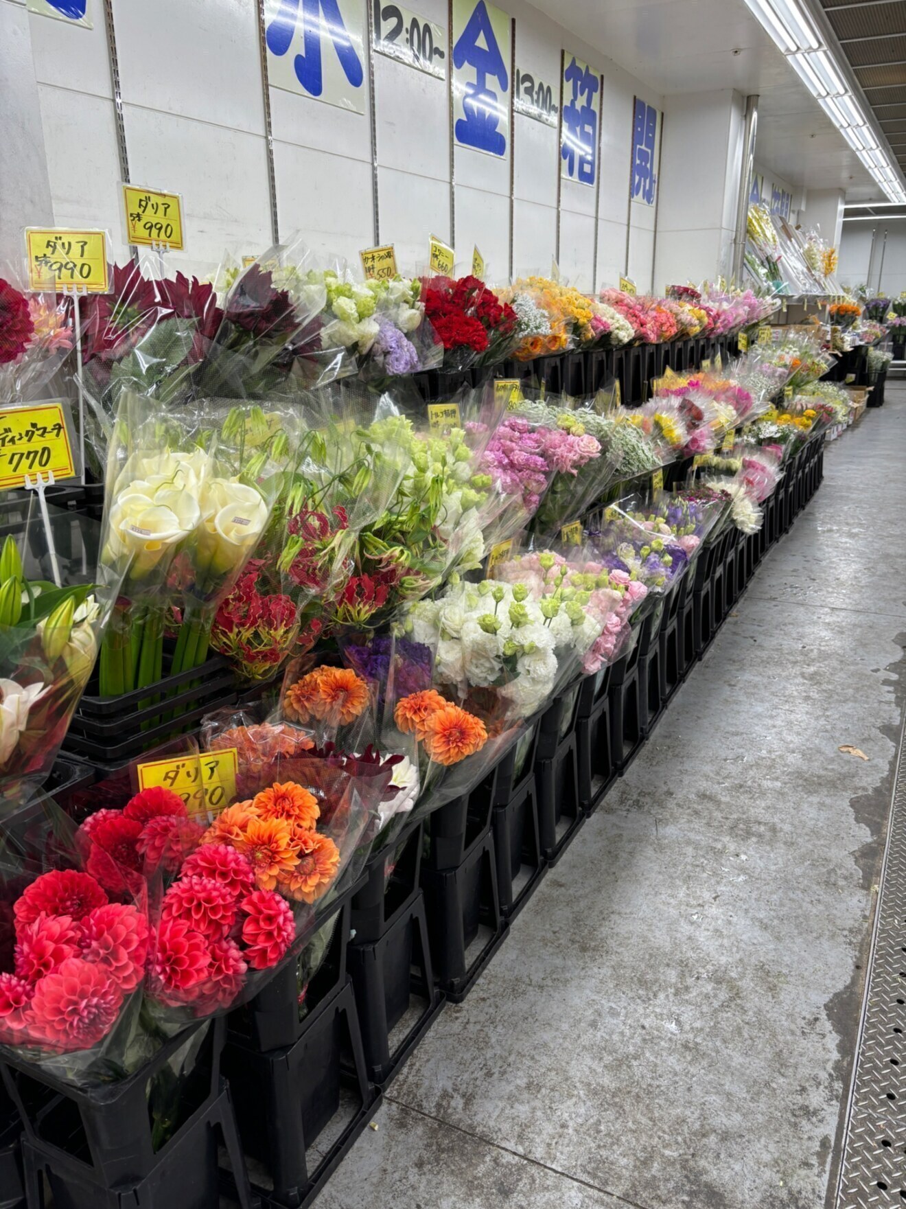 大阪総合園芸センター