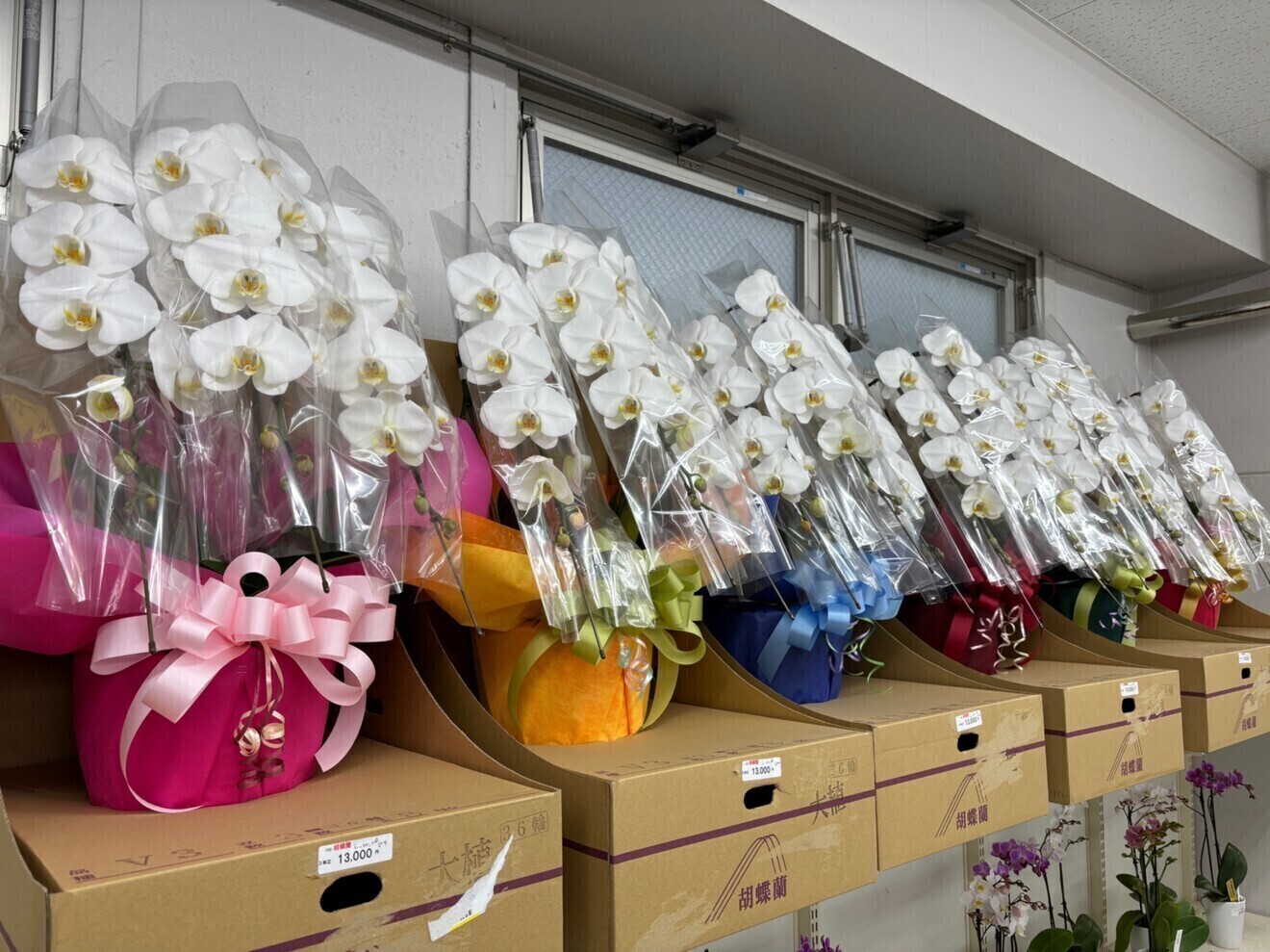 大阪総合園芸センター