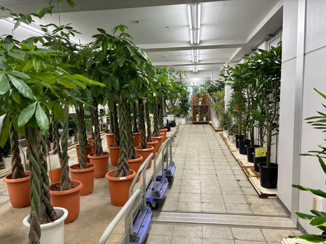 大阪総合園芸センター