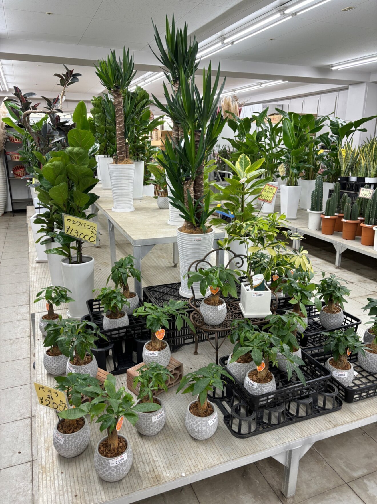 大阪総合園芸センター