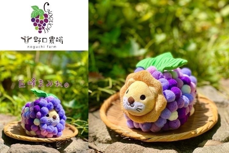 フルーツファーム野口農場