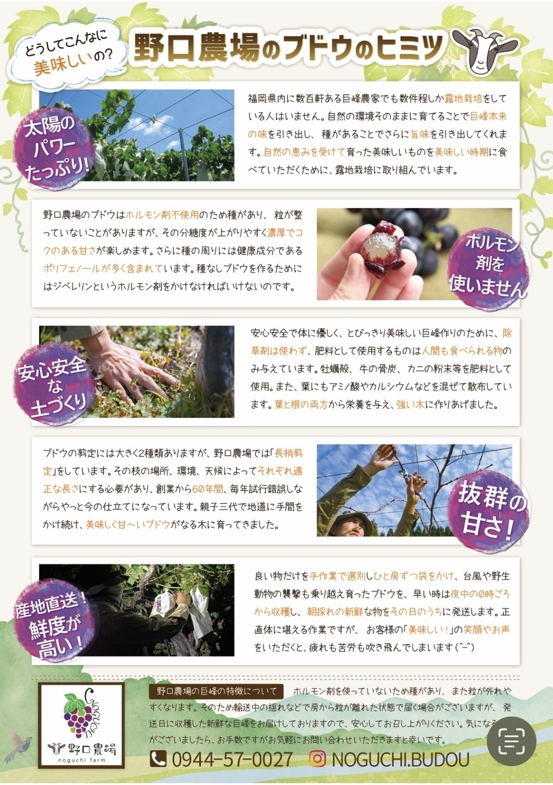 フルーツファーム野口農場