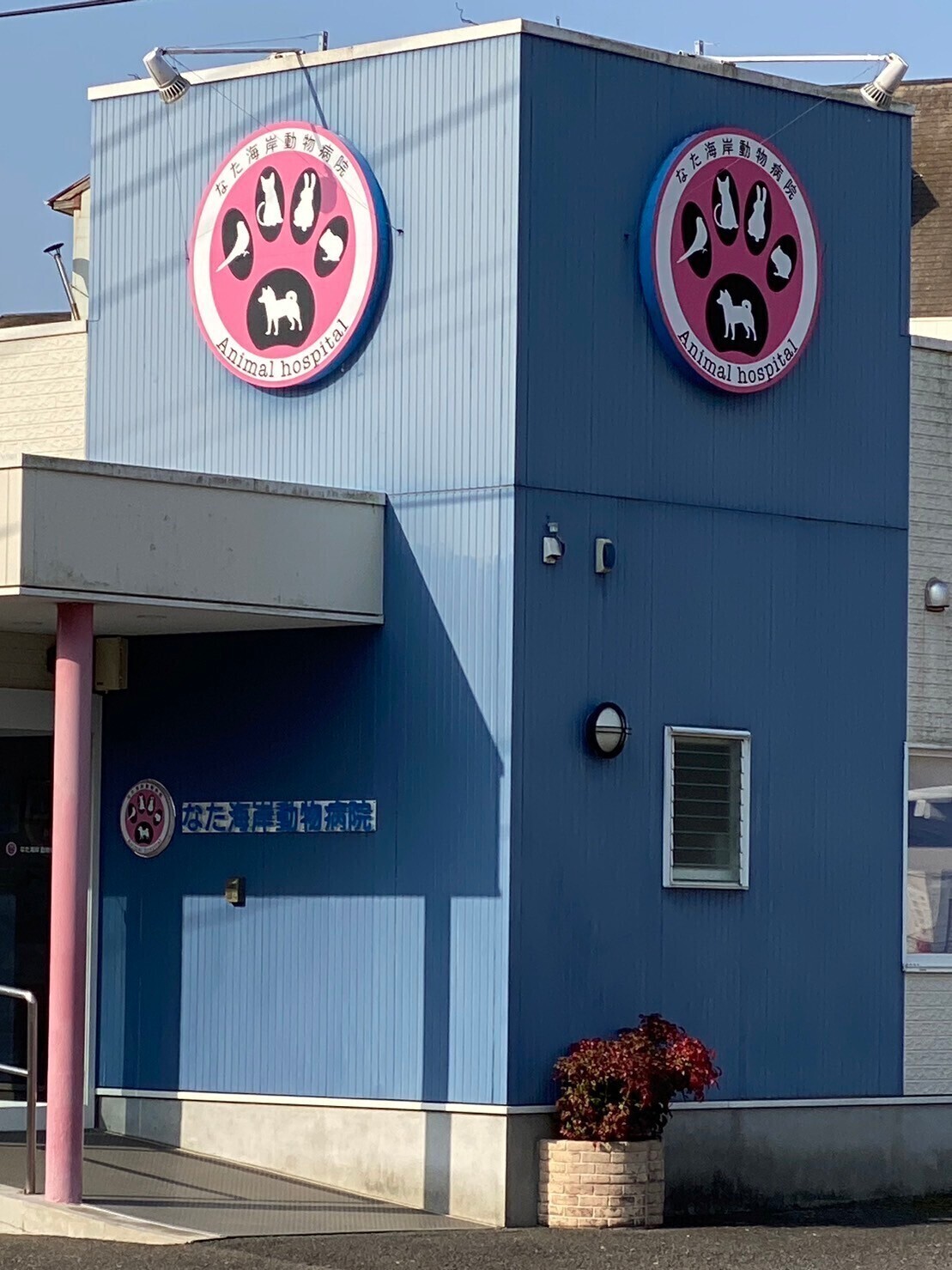 なた海岸動物病院