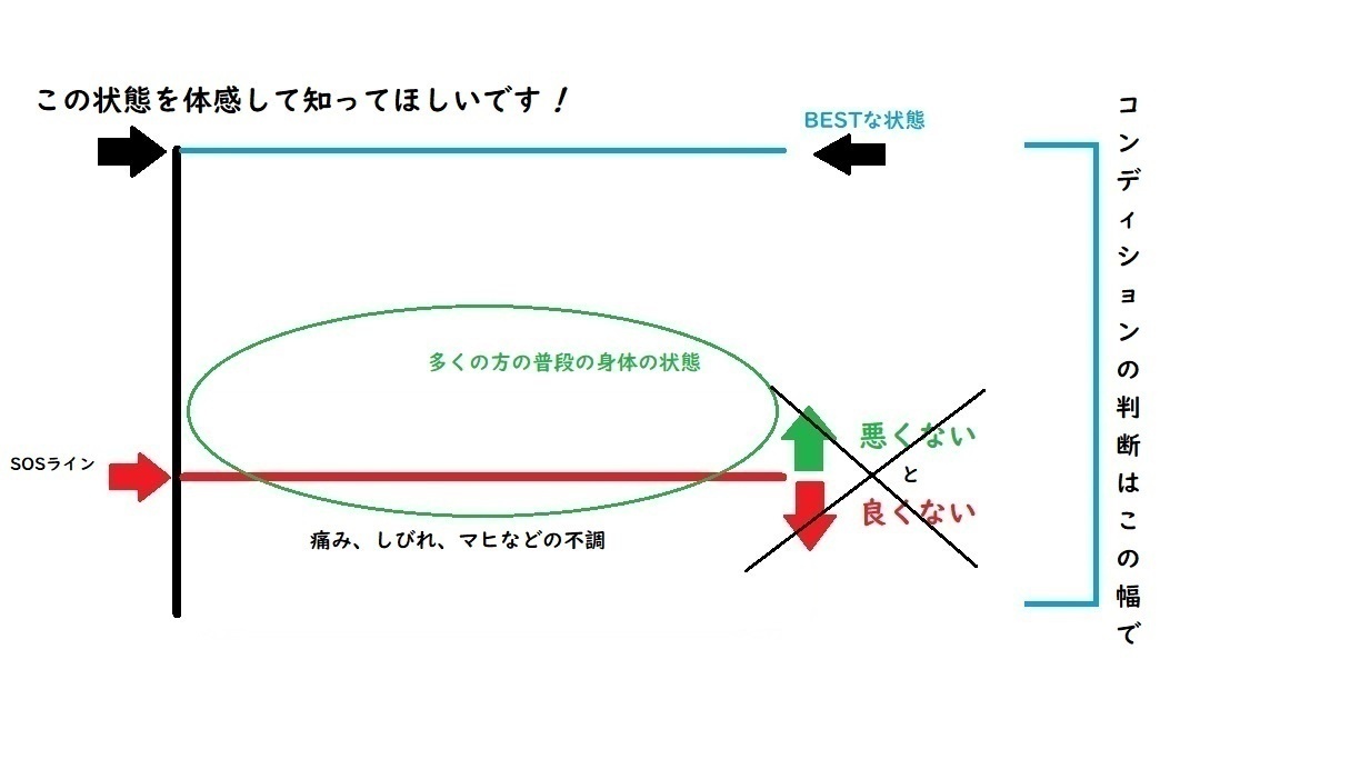 整体（姿勢・痛み・聴覚と視覚の情報処理）