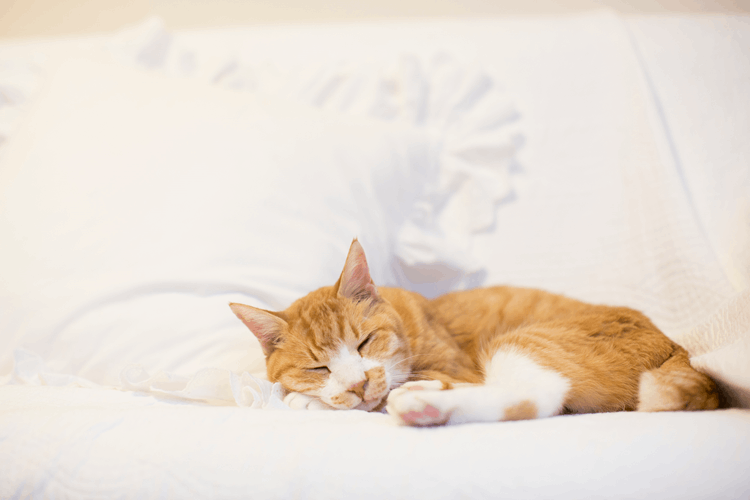 プライベートエステ＆ピラティス　ロレッタ