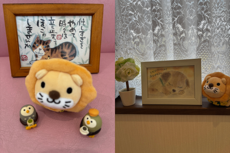 なかやま整骨院　新潟県　長岡市