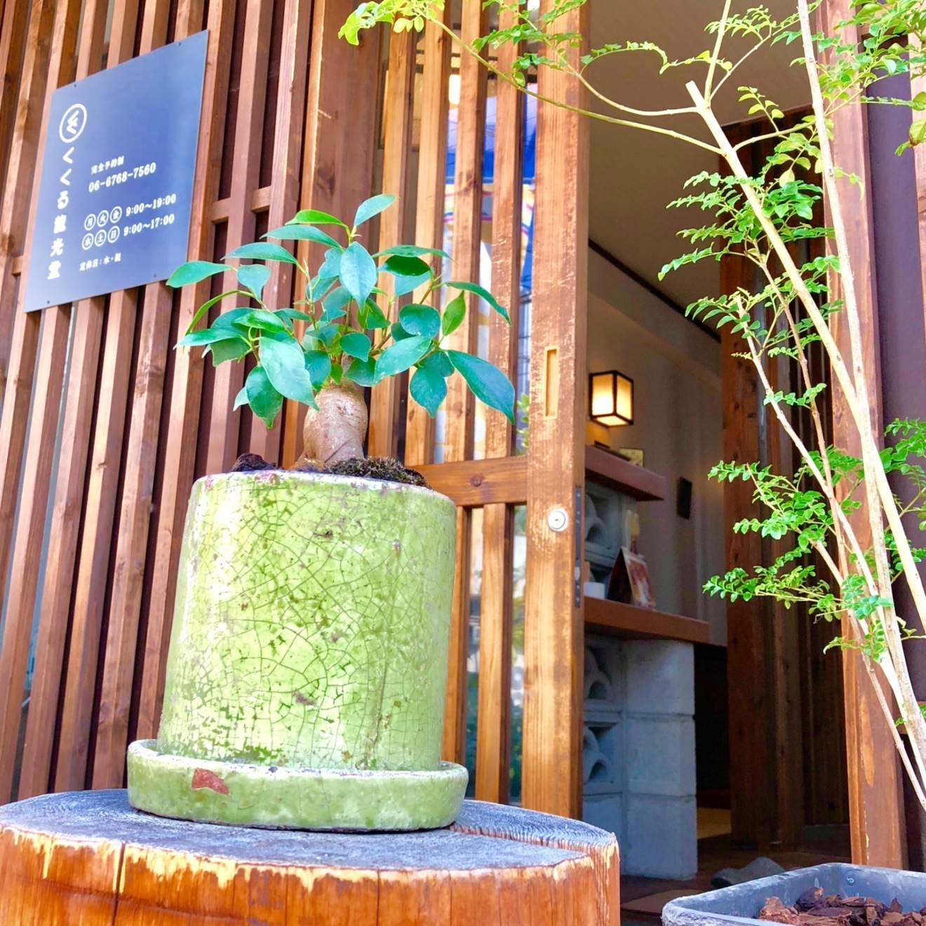 接骨院くくる龍光堂