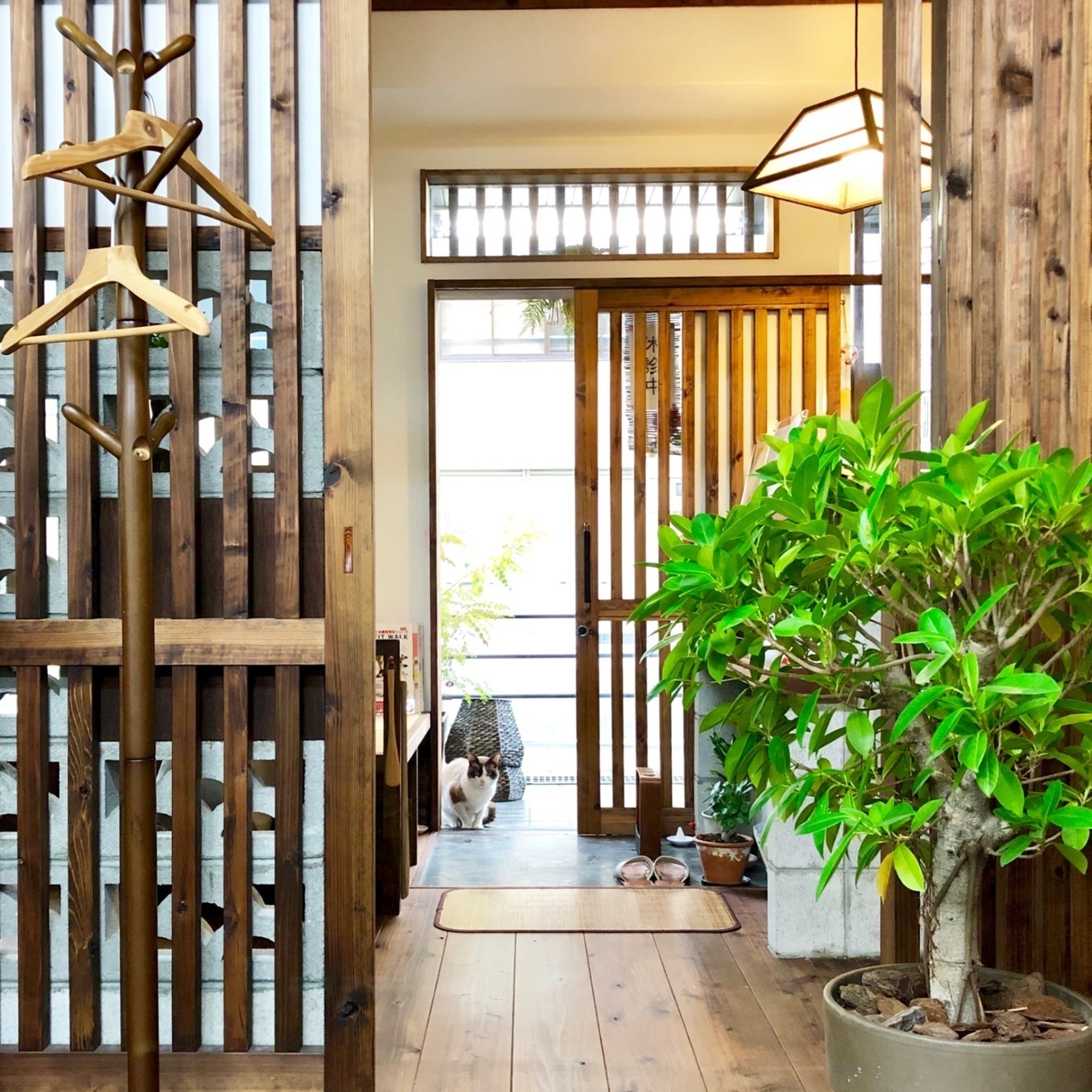 接骨院くくる龍光堂