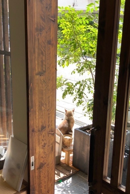 接骨院くくる龍光堂