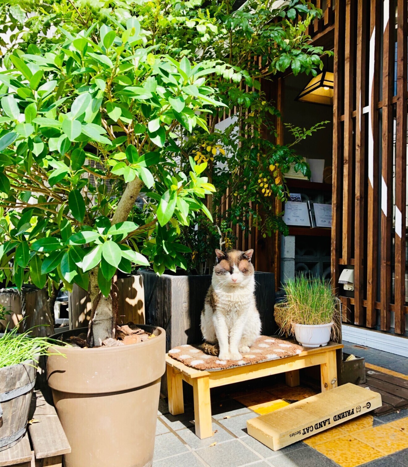 接骨院くくる龍光堂