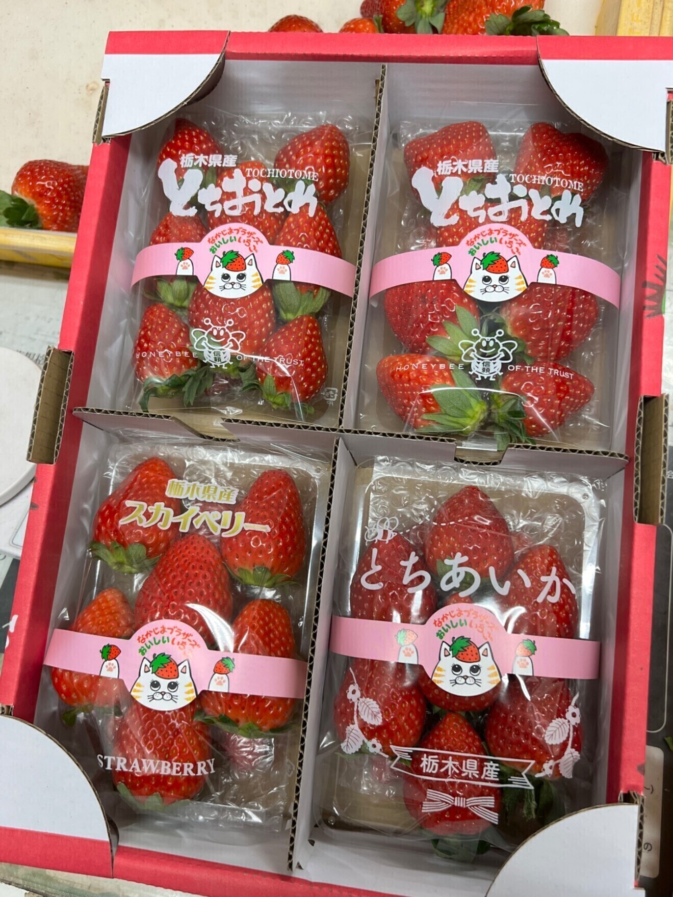 いちご兄弟農園なかじま