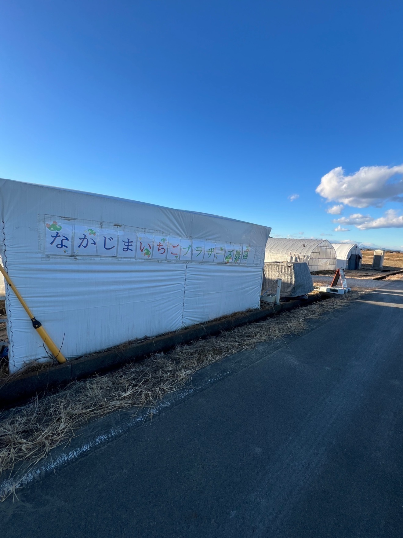いちご兄弟農園なかじま