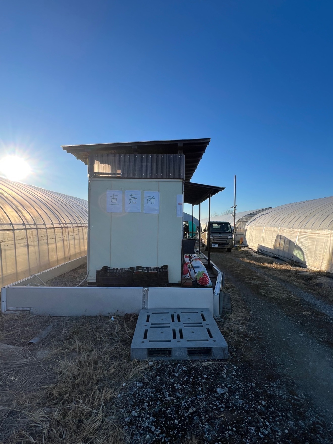 いちご兄弟農園なかじま