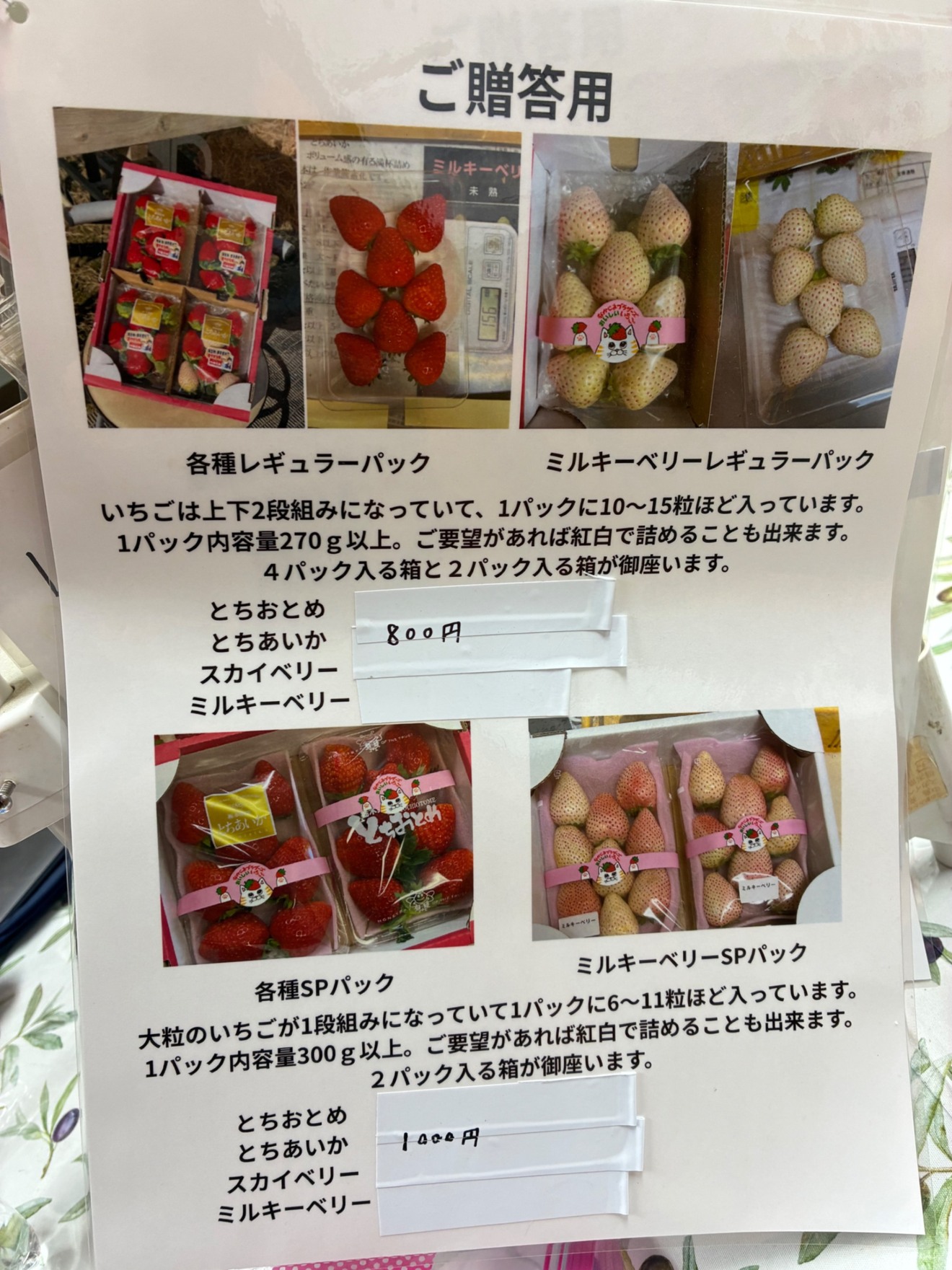 いちご兄弟農園なかじま