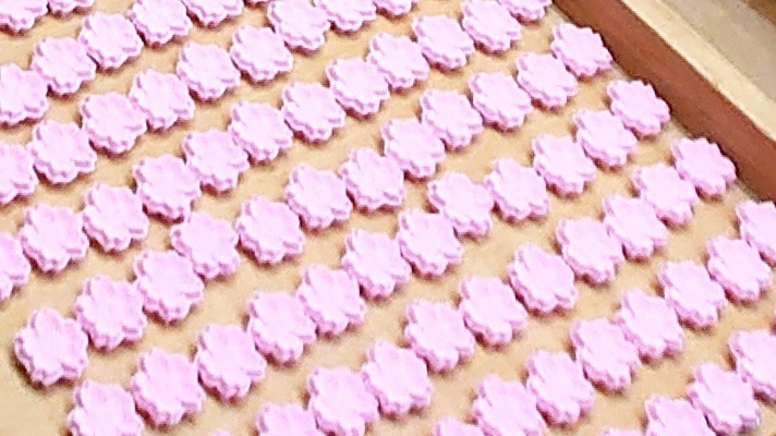 甘春堂 嵯峨野店 京都/和菓子