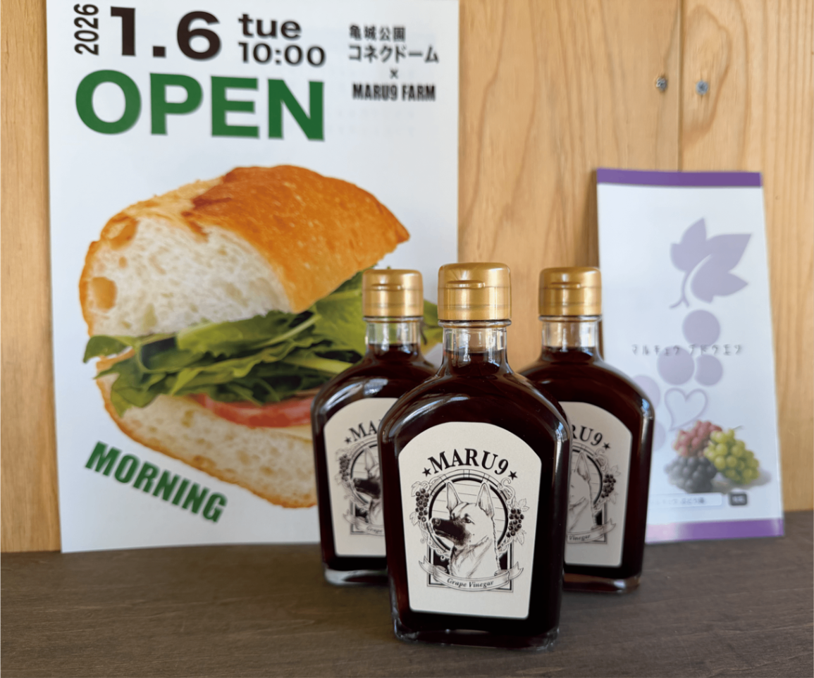 MARU9　Cafe　愛知県　刈谷　