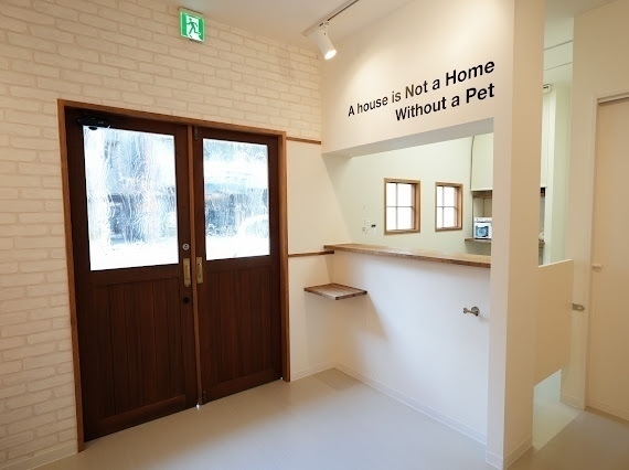 リベ大どうぶつ病院