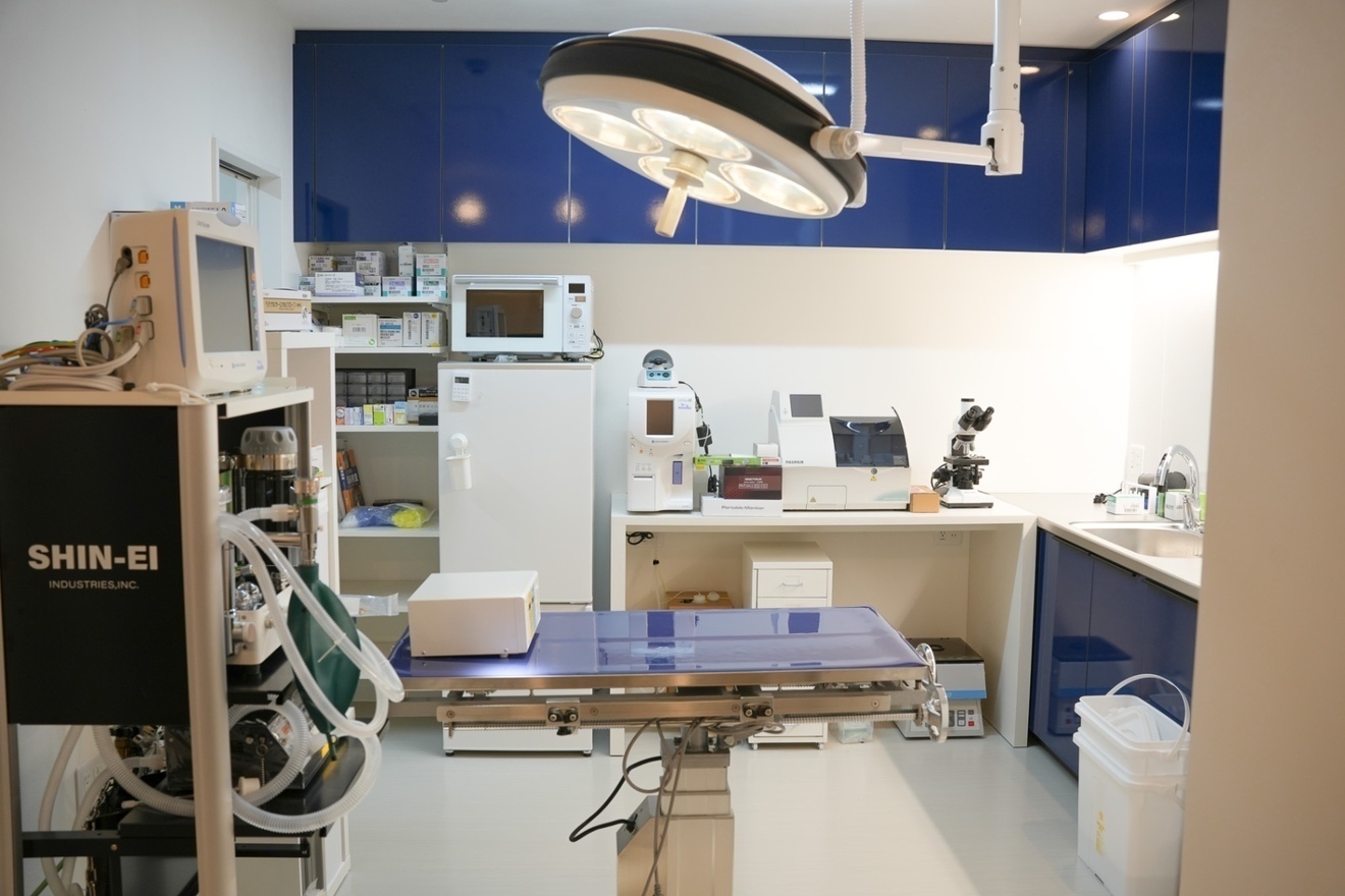 リベ大どうぶつ病院