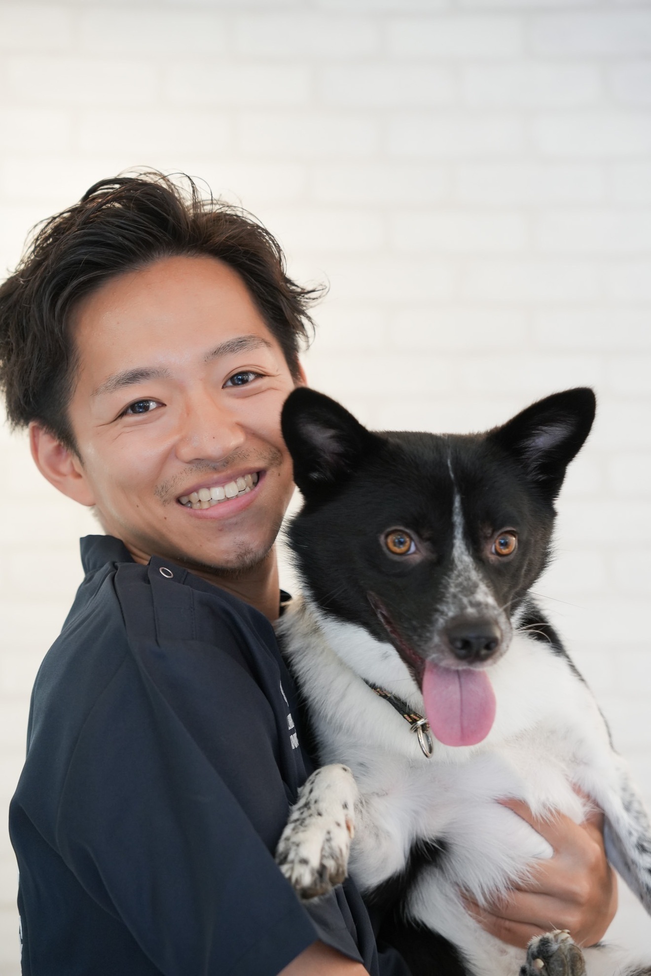 リベ大どうぶつ病院