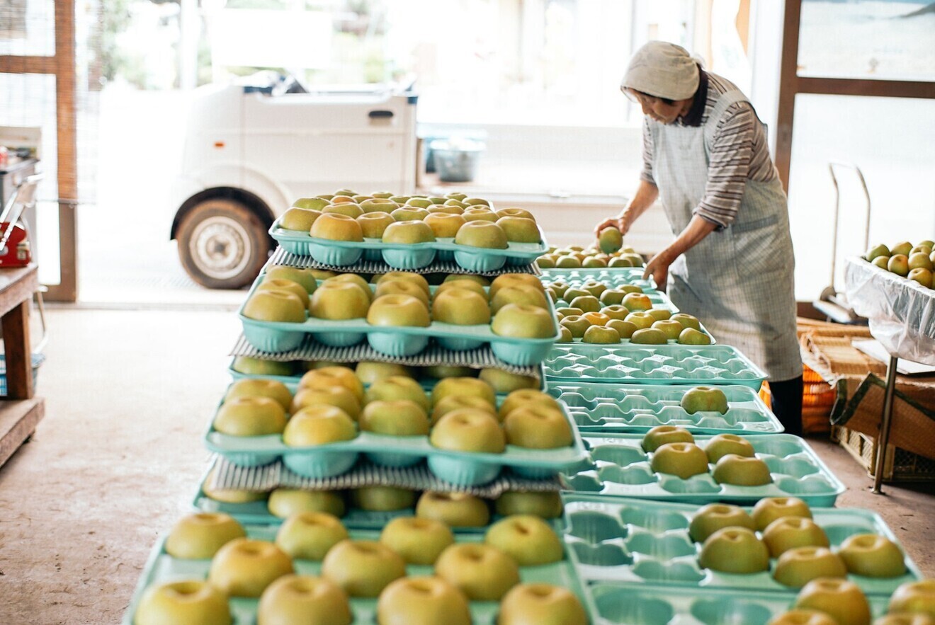 田中園 いちご狩りと梨の直売所
