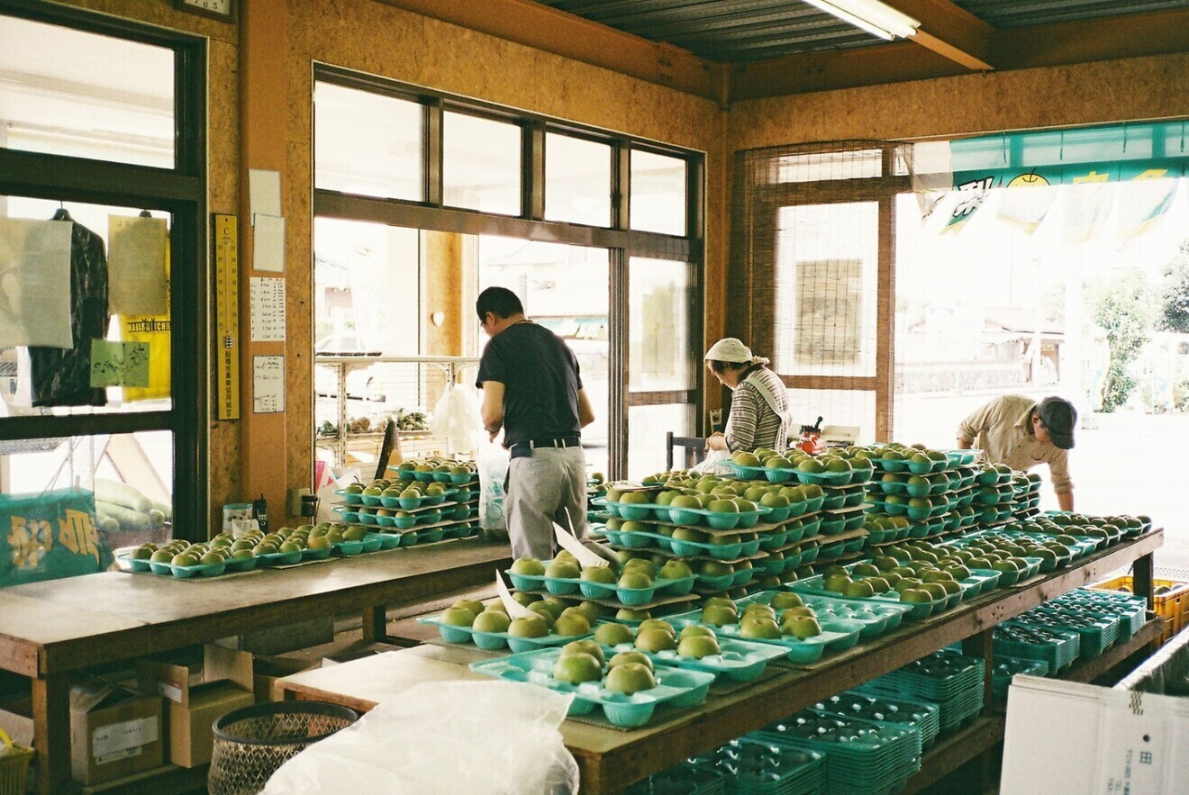 田中園 いちご狩りと梨の直売所