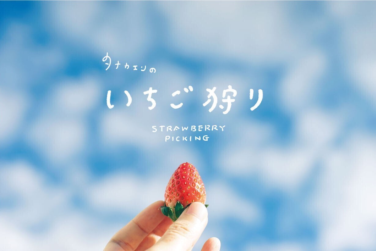 田中園 いちご狩りと梨の直売所