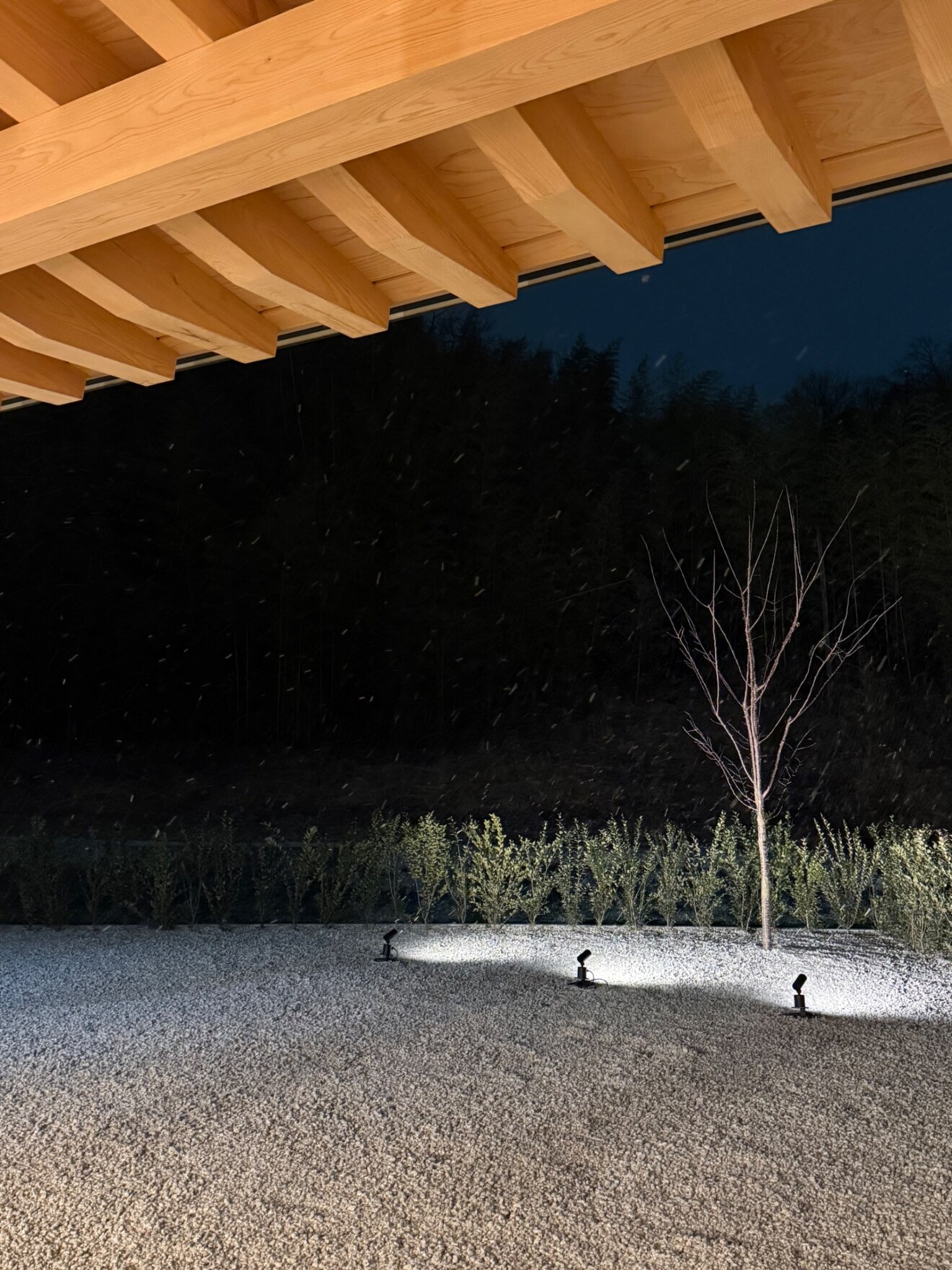 蕎席 雅山 (がざん) 春日井市