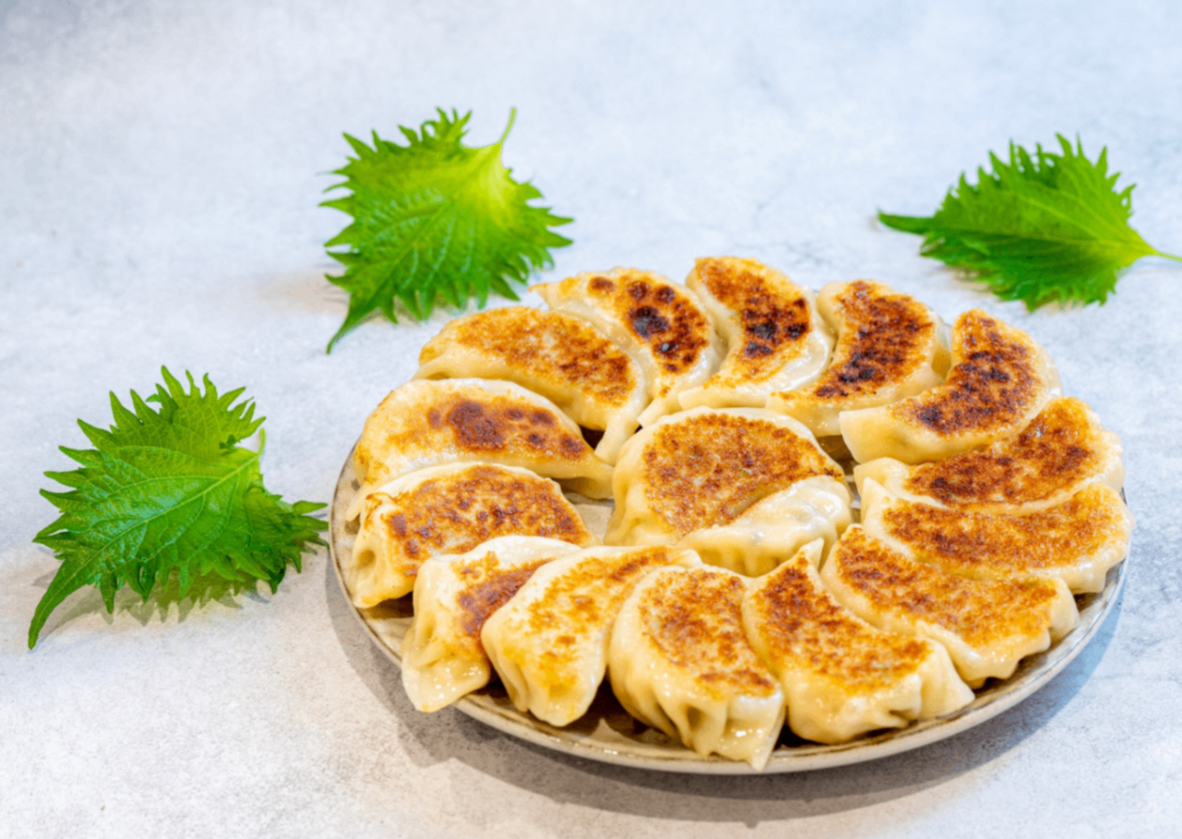 餃子屋 はまだ(滋賀県草津市南草津)