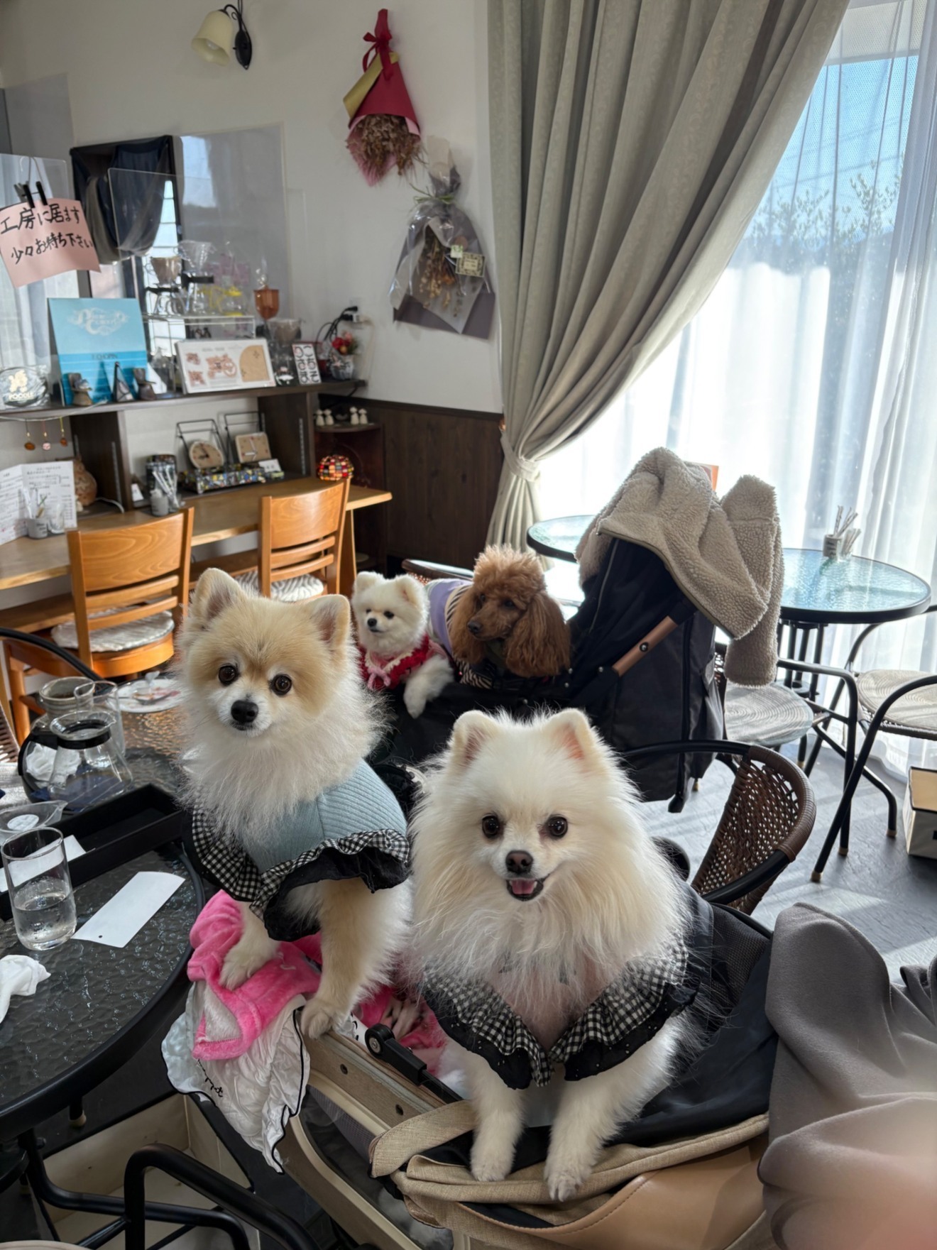 雑貨カフェChouChouAino