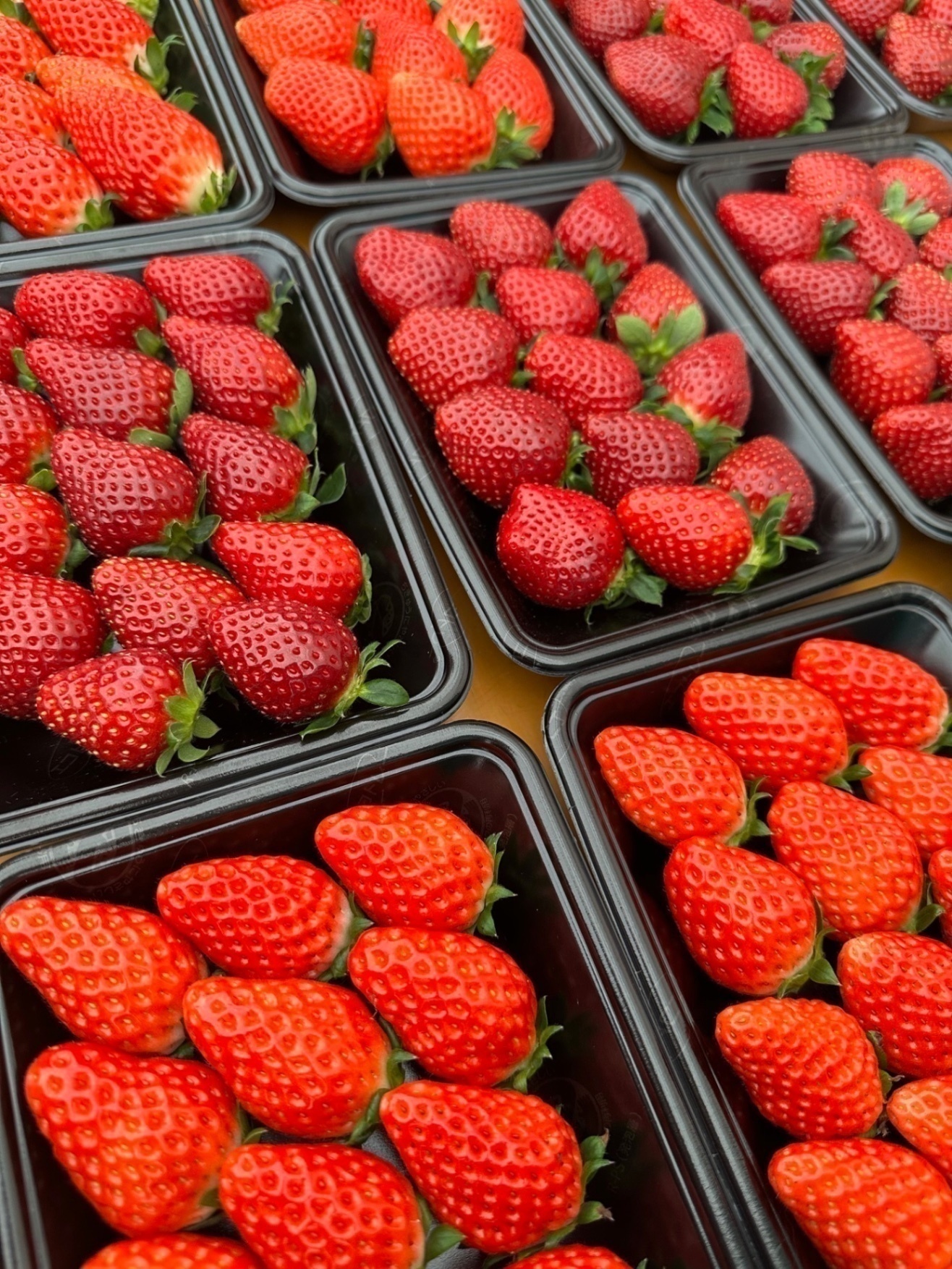 いちご処 ひょうたん鯰