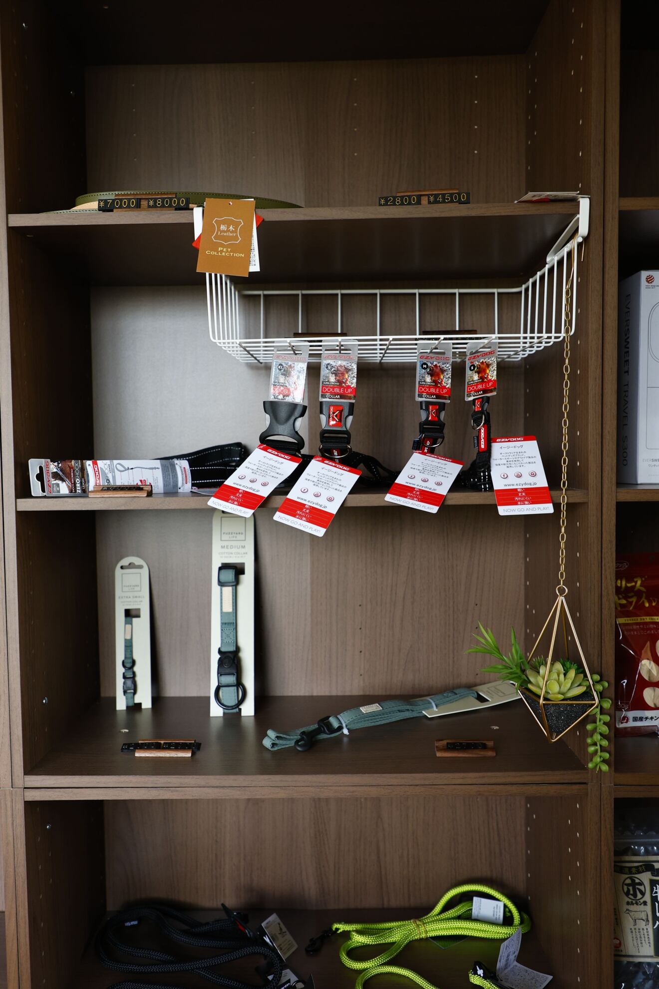 宮古島の出張ドッグサロンてぃーつりー