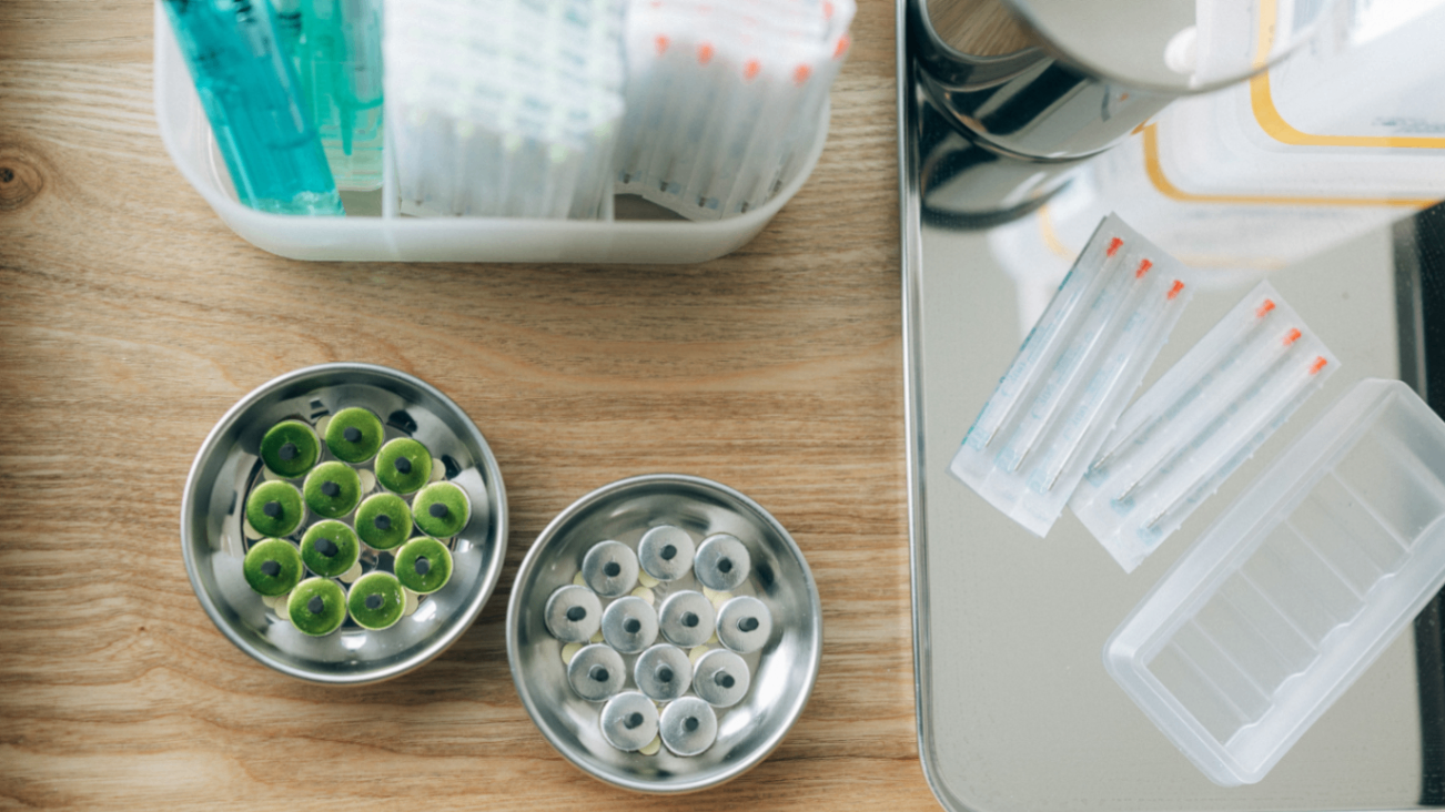 はりきゅうパンダ（大阪・谷町6丁目）