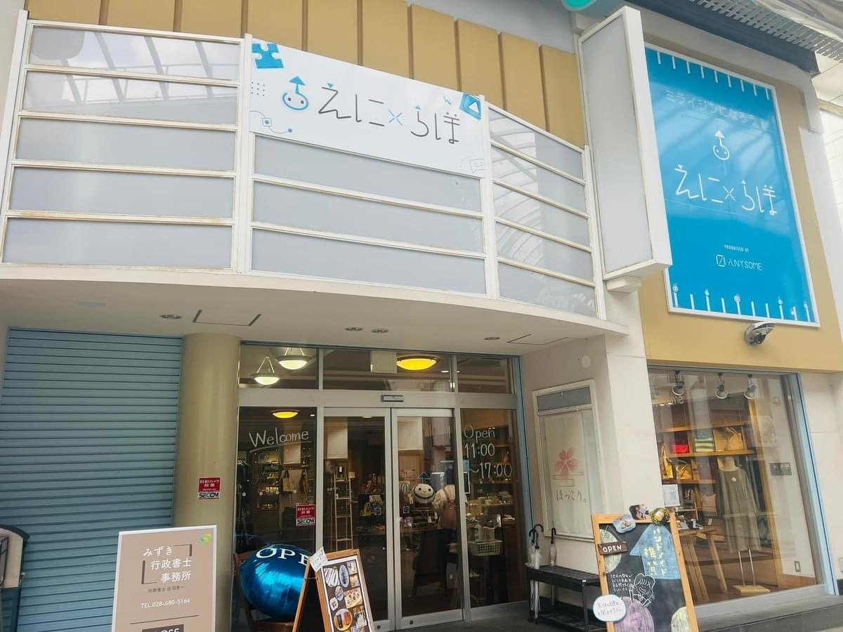 竪琴教室林音 宇都宮教室