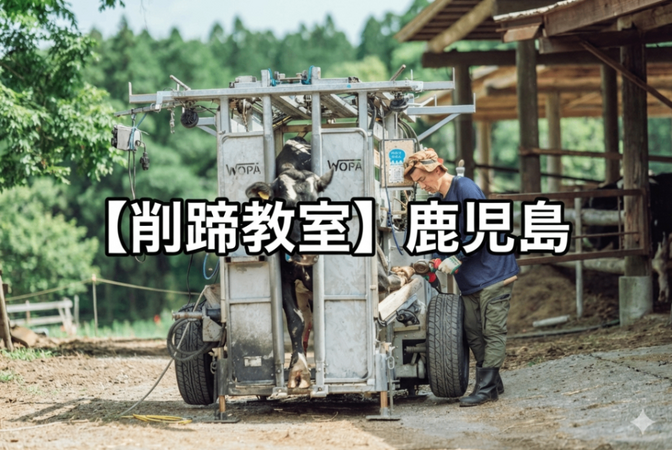 削蹄教室🐮霧島削蹄所@鹿児島