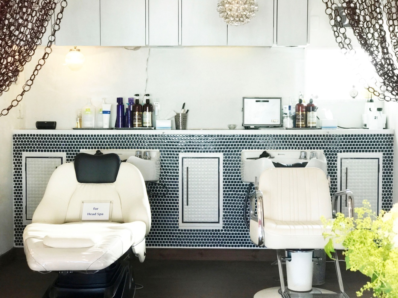 Shu-shu ［神奈川県逗子市］