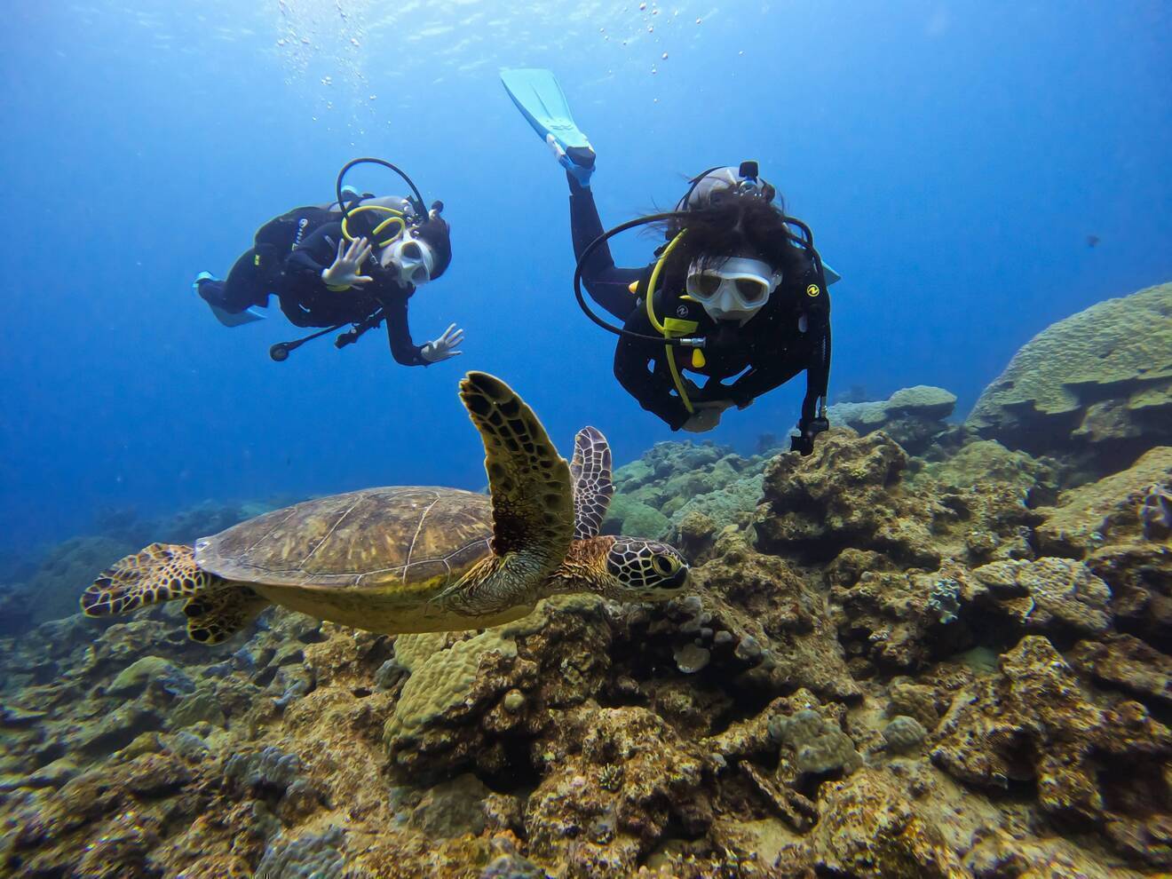 奄美大島 LeapScubaAmami