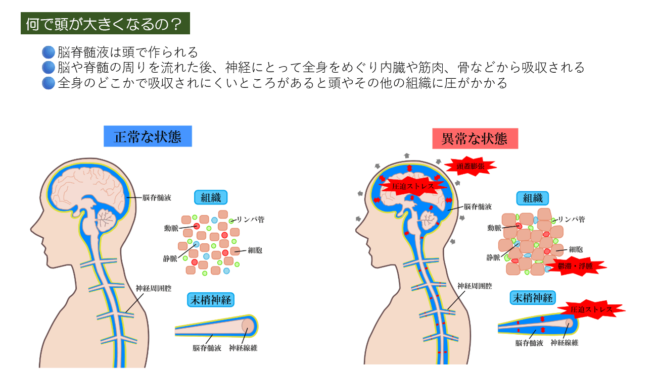 脳整体ラボ Yokohama 🦄